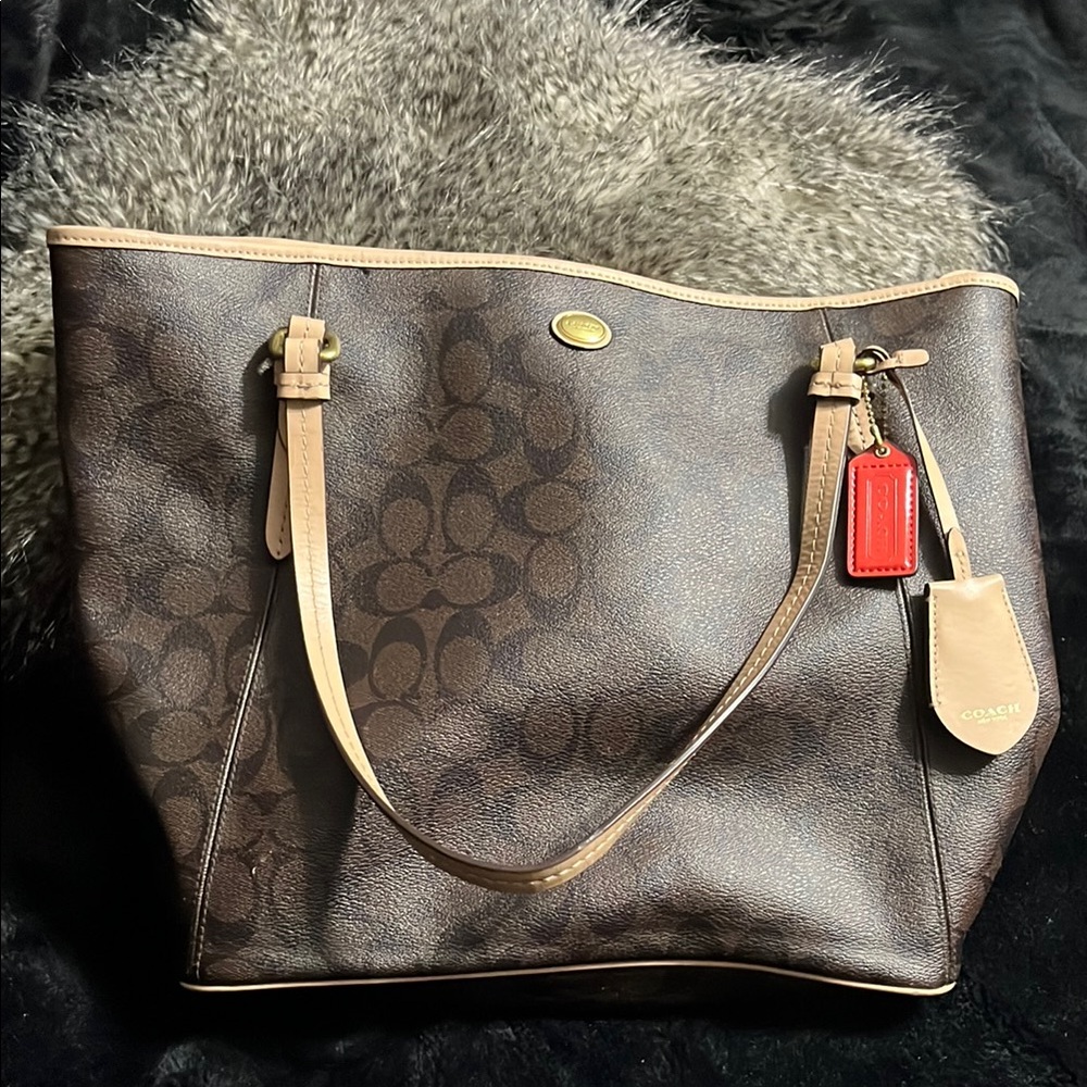 Large Coach Brown Signature Tote Bag